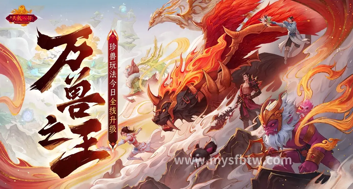 玩家心得, 选择