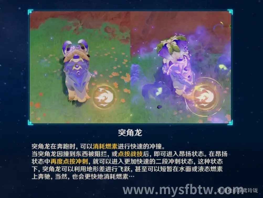 新手